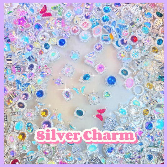 【Jewelry】Live Product- Silver Charm(Alloy&Zircon)